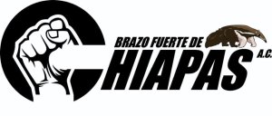 Brazo Fuerte de Chiapas